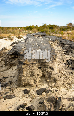 Reste der Baltimore-Straße, die in einem Sturm vor der Assateague Island National Seashore, weggespült wurde entwickelt werden könnte. Stockfoto