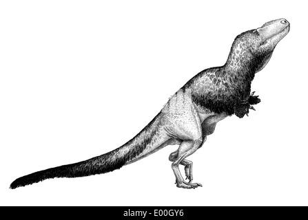 Schwarze Tusche-Zeichnung von Daspletosaurus Torosus. Stockfoto