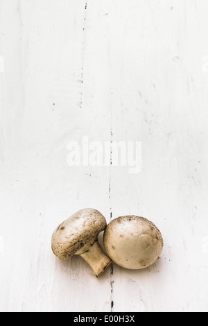 Die Taste zwei mushrooms.champignons an der Unterseite des Bildes auf einem weißen Hintergrund. Stockfoto