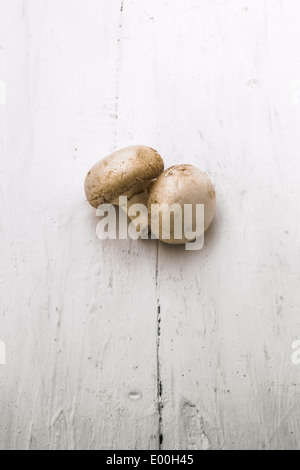 Die Taste zwei mushrooms.champignons in der Mitte des Bildes auf einem weißen Hintergrund. Stockfoto