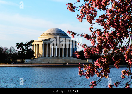 Washington DC USA Thomas Jefferson Memorial mit Kirschbäume in voller Blüte um Gezeitenbecken Stockfoto