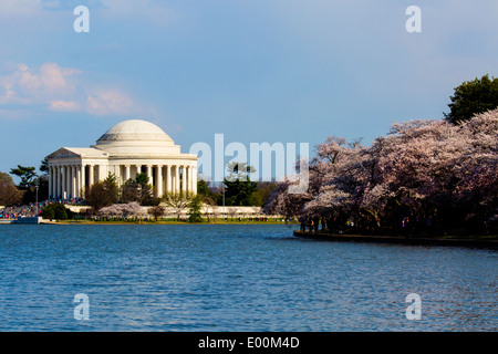 Washington DC USA Thomas Jefferson Memorial mit Kirschbäume in voller Blüte um Gezeitenbecken Stockfoto