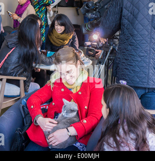 Katzenliebhaber kommen aus nah und fern zum Cat Cafe an der Bowery in New York Stockfoto