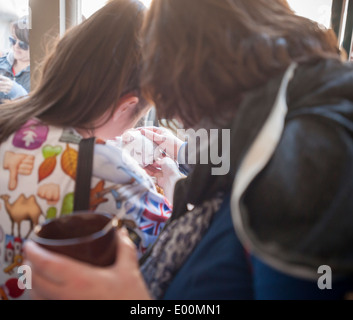 Katzenliebhaber kommen aus nah und fern zum Cat Cafe an der Bowery in New York Stockfoto