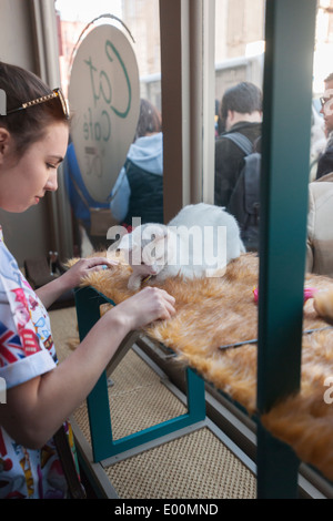 Katzenliebhaber kommen aus nah und fern zum Cat Cafe an der Bowery in New York Stockfoto