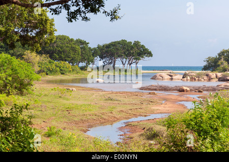 Meerblick vom Yala Nationalpark in Sri Lanka. Stockfoto