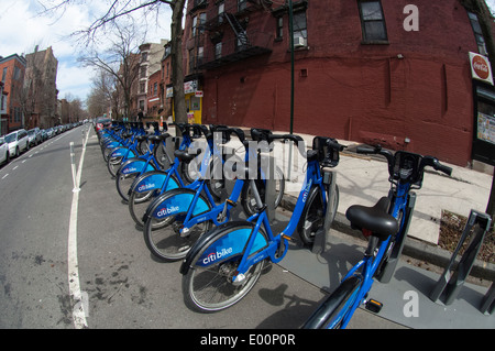 Citibikes Parken auf der Straße im Stadtteil Fort Greene von Brooklyn in New York Stockfoto