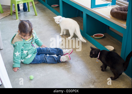 Katzenliebhaber kommen aus nah und fern zum Cat Cafe an der Bowery in New York am Tag seiner Eröffnung Stockfoto