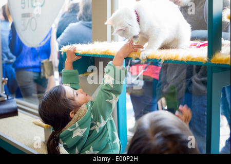 Katzenliebhaber kommen aus nah und fern zum Cat Cafe an der Bowery in New York am Tag seiner Eröffnung Stockfoto