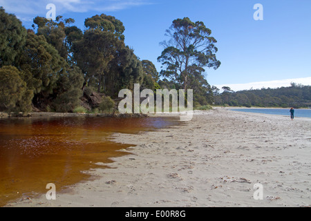 Weißer Strand, Tasmaniens Tasman Halbinsel Stockfoto