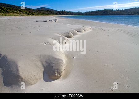 Weißer Strand, Tasmaniens Tasman Halbinsel Stockfoto