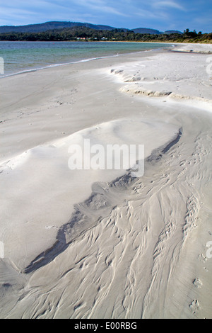 Weißer Strand, Tasmaniens Tasman Halbinsel Stockfoto