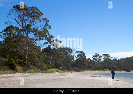 Weißer Strand, Tasmaniens Tasman Halbinsel Stockfoto