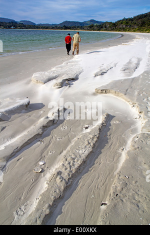 Weißer Strand, Tasmaniens Tasman Halbinsel Stockfoto