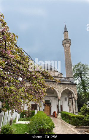 Moschee in Sarajevo Stockfoto