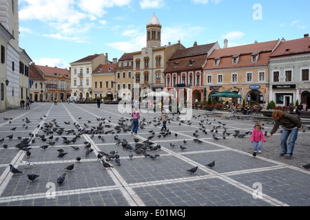 Die Vögel und die Menschen auf dem Rathausplatz in Brasov. Rumänien. Stockfoto