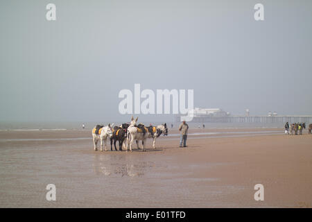 Meer-Nebel auf Blackpool Promenade Stockfoto