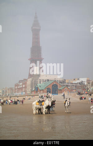 Meer-Nebel auf Blackpool Promenade Stockfoto