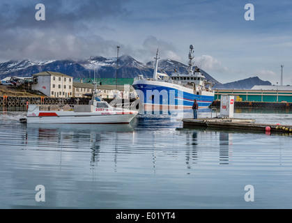 Fischkutter und kleines Boot am Hafen, Hofn in Hornafjördur, Island Stockfoto