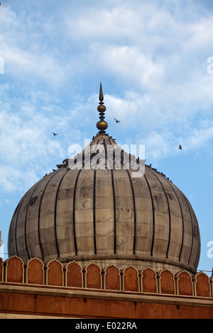 Ein Detail der Kuppel in der Jama Masjid (Freitagsmoschee), Alt-Delhi, Indien Stockfoto