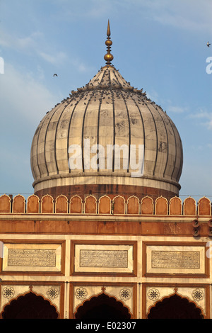 Die Jama Masjid (Freitags-Moschee), Alt-Delhi, Indien Stockfoto