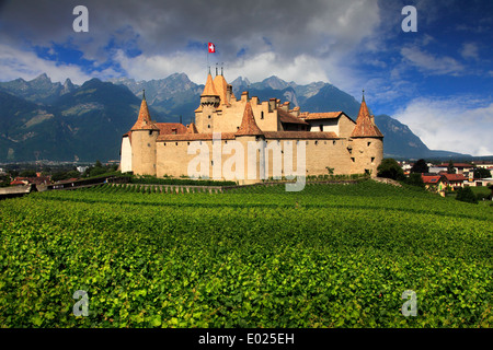 Foto von Chateau d ' Aigle, Aigle Schloss, umgeben von Weinbergen, Aigle, Waadt, Schweiz Stockfoto