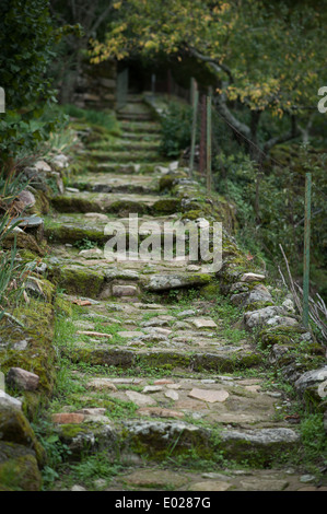 Steinstufen im El Palancar Convent, Pedroso de Acim, Cáceres, Extremadura, Spanien, Europa Stockfoto