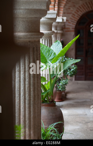 El Palancar Convent, Pedroso de Acim, Cáceres, Extremadura, Spanien, Europa Stockfoto
