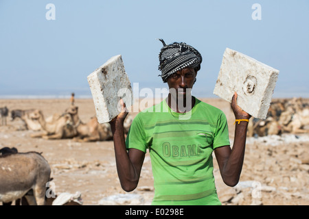 Salzgewinnung in See Asale in der Danakil-Senke. Stockfoto