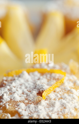 Pikanter süße Zitrone Bars mit Zitrone garnieren und Zucker des Konditors Stockfoto