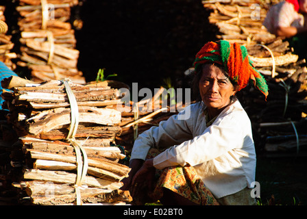 Eine Frau verkauft Brennholz am Morgen Markt Thaung Tho, Inle See Stockfoto