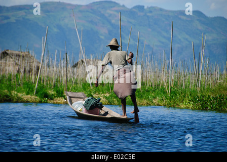 Bein-Rudern-Technik, die Einzigartigkeit der Intha Menschen des Inle Sees. Stockfoto