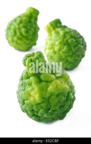 Kaffir-Limette auf weißem Hintergrund Stockfoto