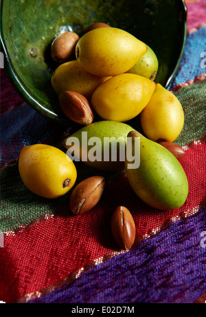 Frischen Argan Nüssen (Argania Spinosa), geschält und ungeschält Stockfoto