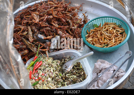 Gekochte Heuschrecken und Maden in eine thailändische Garküche. Stockfoto