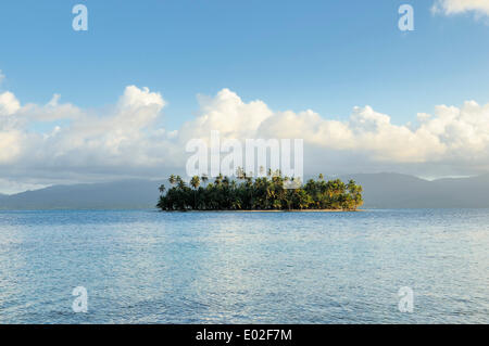 Tropischen Insel mit Palmen, Cayos Los Grullos, Mamartupo, San Blas Inseln, Panama Stockfoto