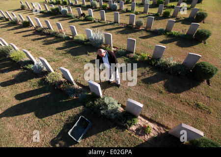 Gaza, Palästinensische Gebiete. 30. April 2014. Palästinensische Gradaa Issam Heuschrecken arbeiten in der Nähe der Gräber von britischen Soldaten und die Juden im ersten Weltkrieg auf dem britischen Friedhof in Gaza-Stadt, am 30. April 2014. Tag eines jeden Jahres ist der Nationalfeiertag um die Soldaten zu gedenken diente und in dem Krieg zwischen 1914 und 1918 starb. Bildnachweis: Majdi Fathi/NurPhoto/ZUMAPRESS.com/Alamy Live-Nachrichten Stockfoto