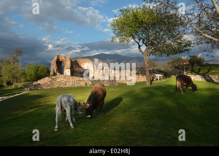 Agios Achillios Basilika Prespes, Griechenland Stockfoto