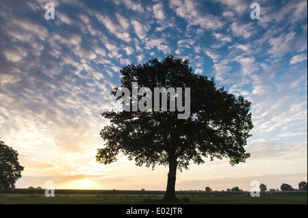 Sonnenaufgang in der Nähe von Lutten, Oldenburger Münsterland, Niedersachsen, Deutschland Stockfoto