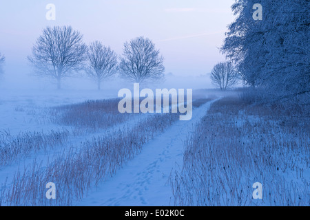 Winter, Landschaft, Landkreis Vechta, Niedersachsen, Deutschland Stockfoto
