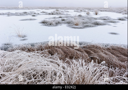 Goldenstedter moor, Niedersachsen, Niedersachsen, Deutschland Stockfoto