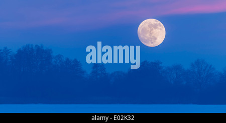 Vollmond über See Dümmer, Dümmerlohhausen, Landkreis Diepholz, Niedersachsen, Deutschland Stockfoto
