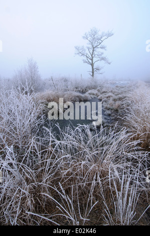 Goldenstedter moor, Niedersachsen, Niedersachsen, Deutschland Stockfoto