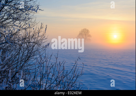 Schnee bedeckte Landschaft, Landkreis Vechta, Niedersachsen, Deutschland Stockfoto