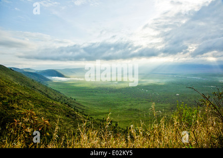 Ngorongoro Conservation Area, Tansania. Blick auf den Krater Stockfoto
