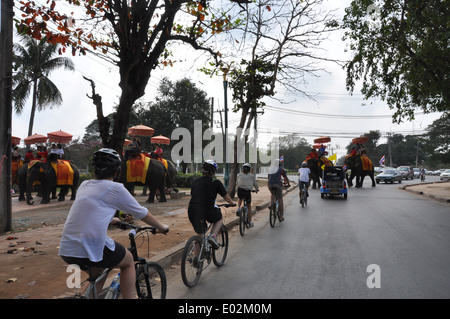 Radfahrer nicht mehr auf dem Weg zum Elefanten, überqueren Sie die Straße in Ayutthaya, Thailand zu ermöglichen. Stockfoto