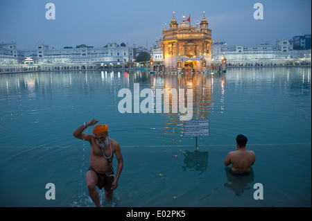 Indien - Punjab: Amritsar: t Dawn, Tw-Männer in den Gewässern des heiligen Teich rund um den goldenen Tempel oder Harmandir Sahib, Baden Stockfoto