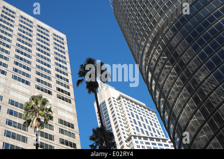 Governor macquarie Tower (links) und No 1 bligh Street im Stadtzentrum von Sydney, NSW Australia, Hochhäuser Stockfoto