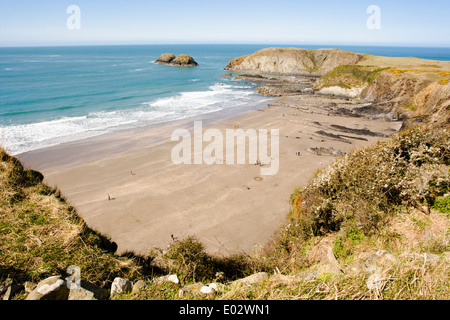 Traeth Llyfn Strand zwischen Porthgain und Abereiddi, Pembrokeshire, Wales Stockfoto