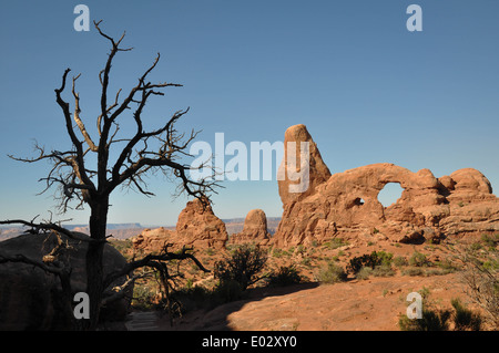 Arch und Turm im Arches National Park, Utah, USA Stockfoto